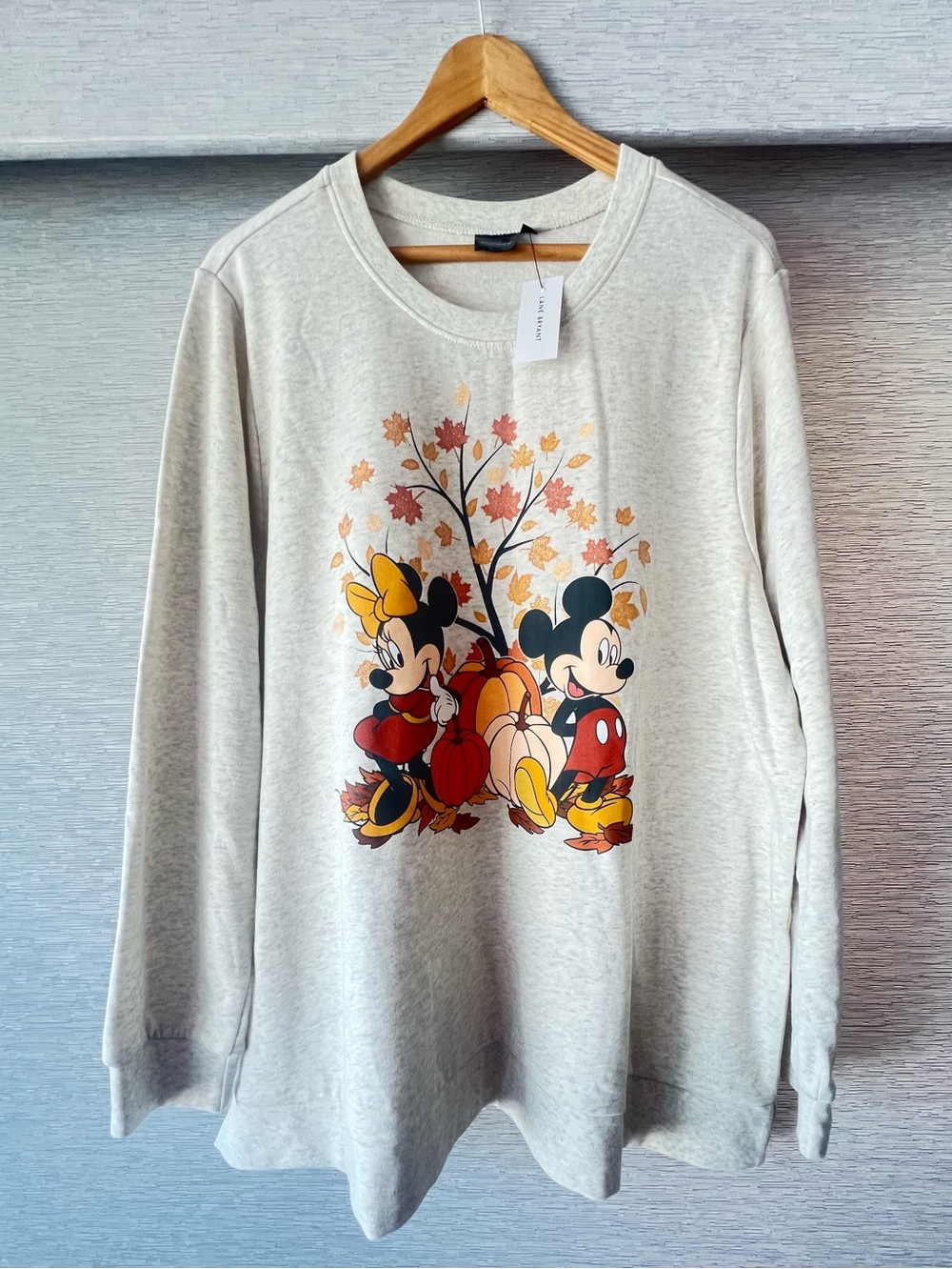 Lane Bryant Disney Micky and Friends Fall Graphic New 🥰